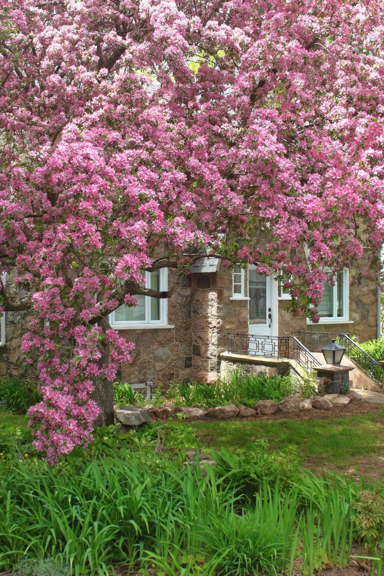 Rester Vivant Chambres D'Hotes Saint-Jean-Port-Joli Εξωτερικό φωτογραφία